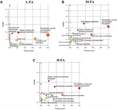 An Integrated Metabolomic Screening Platform Discovers the Potential Biomarkers of Ischemic Stroke and Reveals the Protective Effect and Mechanism of Folic Acid